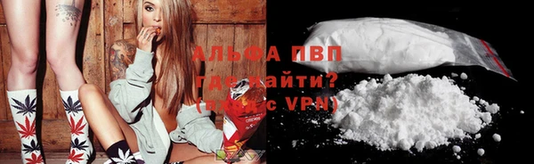 индика Алексеевка